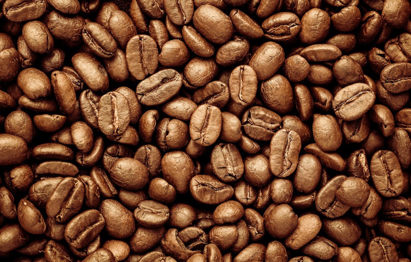 Discover the World of Coffee with Our Exclusive Tours